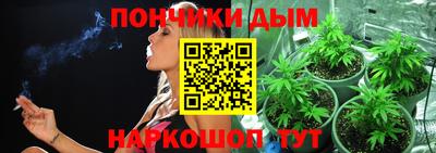 прущие крисы Можга