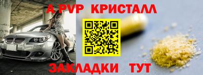прущие крисы Можга