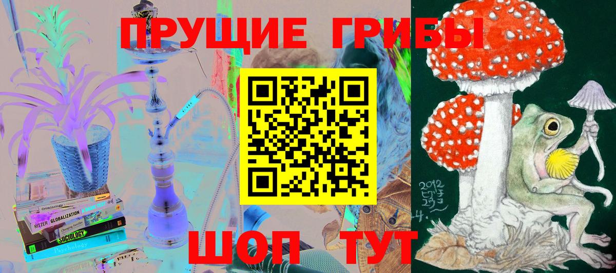 Галлюциногенные грибы Psilocybe Хабаровск