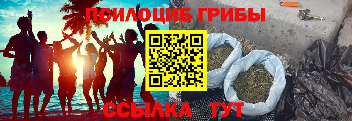 Хабаровск  Галлюциногенные грибы Psilocybe  Вход с VPN 