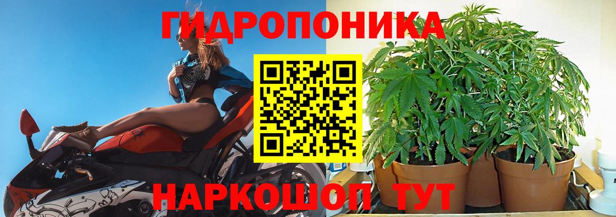 Конопля сатива Хабаровск